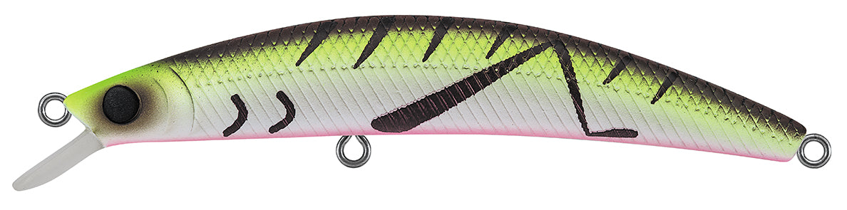 DR.MINNOW JERKBAITS