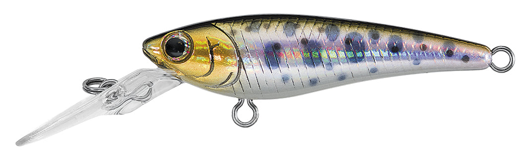 SC SHAD