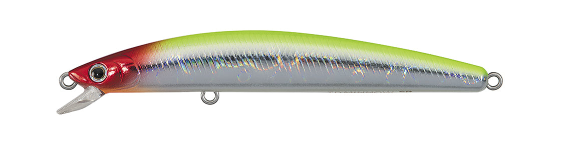 TD MINNOW